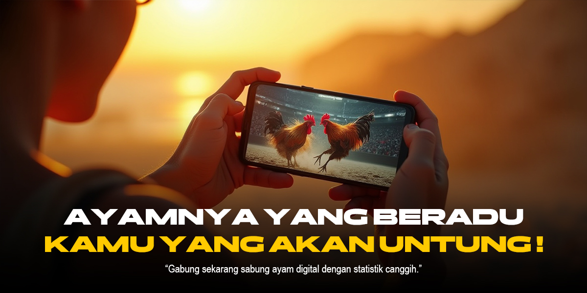 Membedah Pesona Sabung Ayam: Tradisi, Strategi, dan Kontroversi