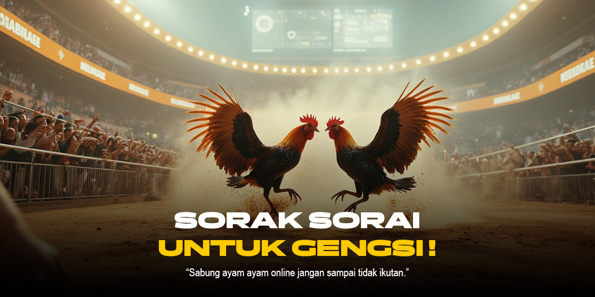 Mengenal Jenis Ayam Aduan dan Odds di SV388 Sabung Ayam